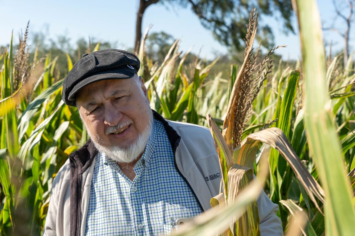 Ingeniero agrónomo de formación, Cotella transitó primero el mundo corporativo del agro. En 1989 se instaló en Salta para trabajar en una empresa del sector, donde permaneció hasta 1997