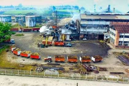 Ingenios La Corona se enfoca en la producción y comercialización de azúcar; destilación de alcohol; generación de alcohol etílico hidratado destinado al uso doméstico y a la producción de alcohol para biocombustible