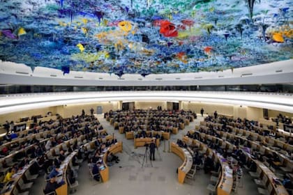 Ingresar y tomar la palabra en uno de los eventos de la ONU no es una tarea fácil, aseguró Mercedes De Freitas, una de las activistas venezolanas que ha logrado hacerlo