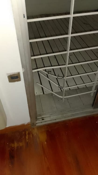 Ingresaron rompiendo las rejas de la vivienda.
