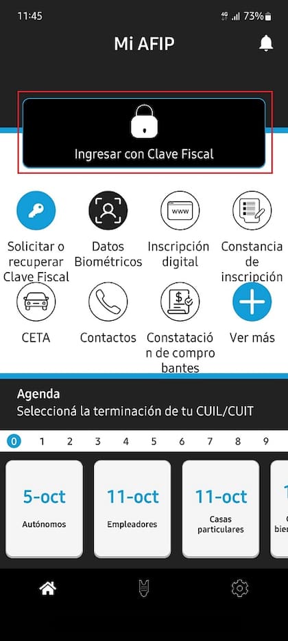 Ingreso con clave fiscal en la app Mi AFIP