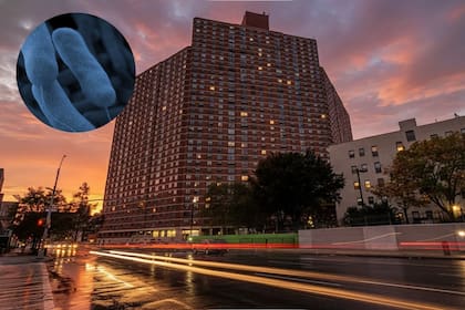 Inquilinos de un departamento en Harlem no pueden ducharse debido a una bacteria en el sistema de agua (Unit D8B/CDC)