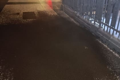 Insectos en una estación de subte