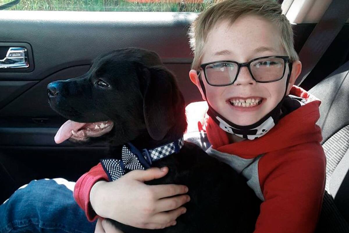 Inseparables, los pequeños Byrson y Bruce