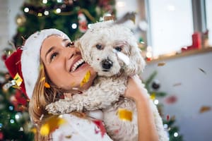 Insistieron en la necesidad de comprender lo que siente el animal y acompañarlo sin forzar situaciones