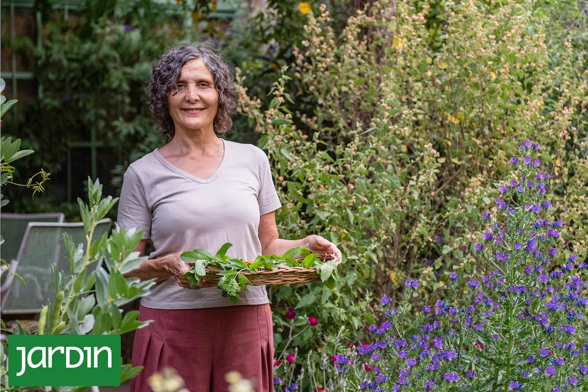 Inspirada en conocimientos de pueblos originarios, Gabriela Quiroga cultiva y mezcla plantas medicinales para crear infusiones