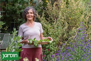 Inspirada en conocimientos de pueblos originarios, Gabriela Quiroga cultiva y mezcla plantas medicinales para crear infusiones