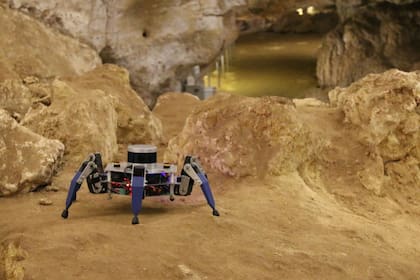 Inspirado en la forma de una araña, el robot CaveX busca ofrecer un mapeo de las cuevas y túneles de un yacimiento de fósiles en Australia con un método no invasivo, sin afectar el entorno
