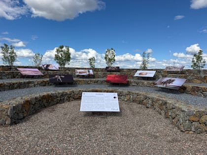Instalación de Sofía López Mañan en Huentala Wines, Mendoza