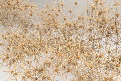 Instalación interactiva de Gonzalo Arbutti en Chandon Artground