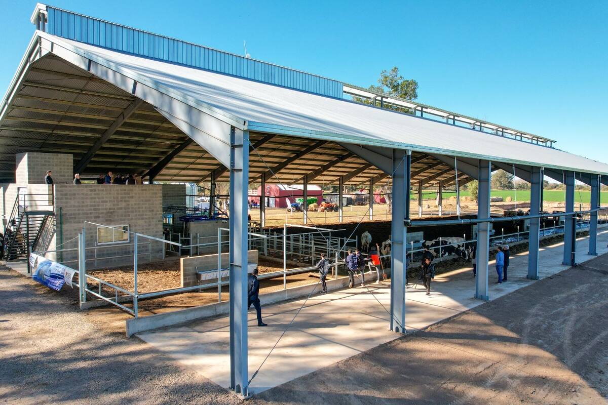 Instalaciones de la escuela en la localidad de Ramón J. Cárcano, Córdoba
