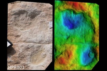 Un modelo digital de elevación de huellas ayudó investigadores a discernir los detalles de las pisadas de los homínidos
