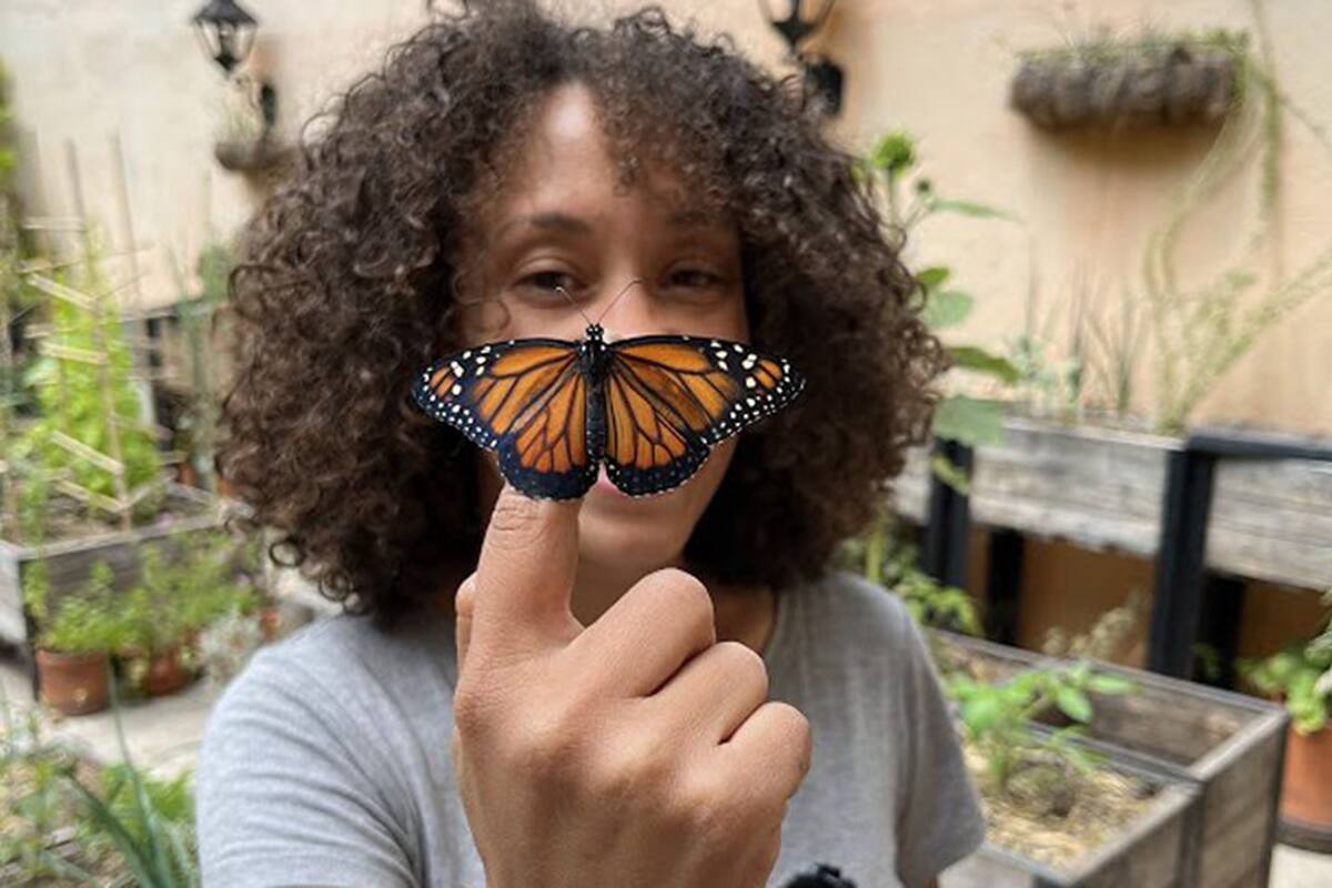 Integrante de Sitopia, una huerta orgánica con mariposario en Villa Crespo