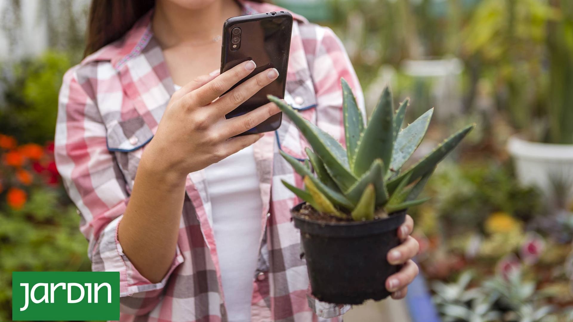 La inteligencia artificial también se aplica a las plantas
