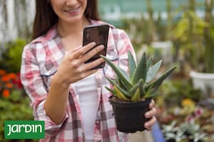 Inteligencia artificial aplicada a la jardinería
