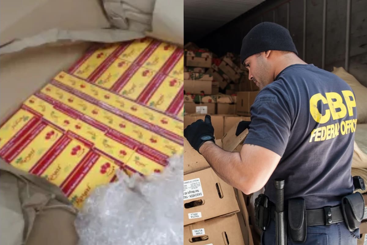 Intentaron enviar medicamentos falsificados a Georgia, pero la CBP los descubrió
