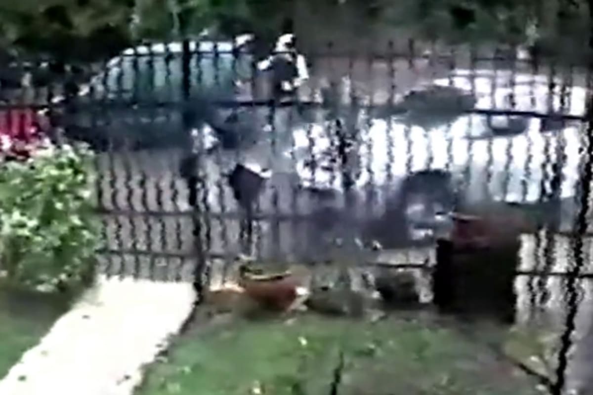 Intentaron robarle la camioneta cuando llegaba a su casa en El Palomar