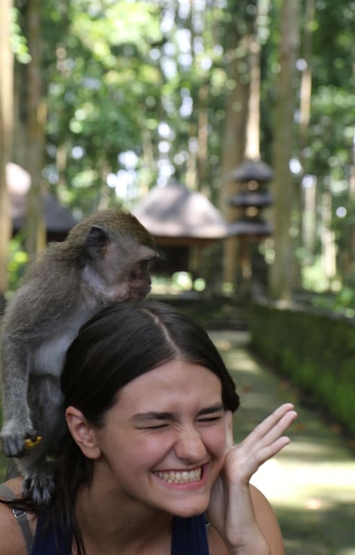 Interacción con los monos en Sangeh Monkey Forest.