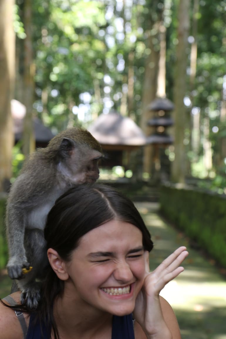 Interacción con los monos en Sangeh Monkey Forest.
