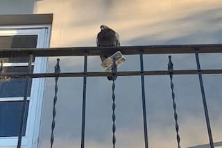 Cuando la cárcel se convierte en un call center del crimen