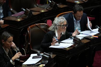 Interpelación a Guillermo Francos por el caso $LIBRA en Diputados: Mónica Frade
