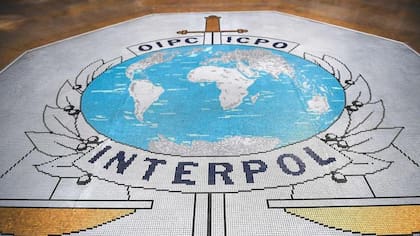 Interpol ha publicado una "notificación negra" sobre cada una de las mujeres desconocidas