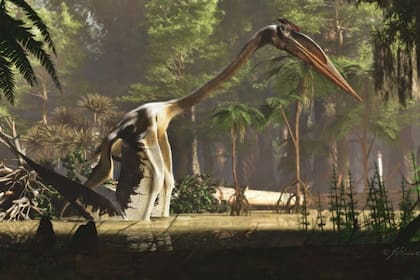 Interpretación de un artista de Quetzalcoatlus northropi, un tipo de pterosaurio y el animal volador más grande que jamás haya existido en la Tierra