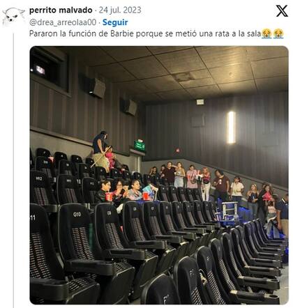Interrumpieron la proyección de Barbi por la presencia de una rata en la sala