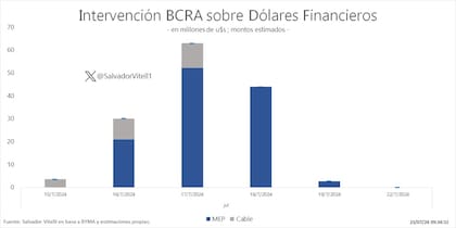 Intervención del BCRA sobre los dólares financieros, según Salvador Vitelli, de Romano Group