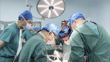 Intervención quirúrgica durante un trasplante renal, con trabajo coordinado del equipo médico en quirófano