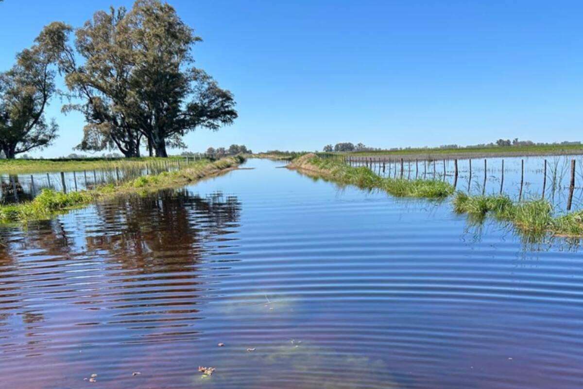 Inundaciones en Azul