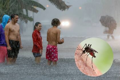 Inundaciones en Mami y temporada de mosquitos (Fotomontaje con fotografía de Al Diaz / Miami Herald).