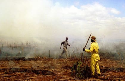 Invasores de tierras agrícolas de Zimbabwe queman un campo de cultivos en pie en la Granja Chirobi, a unos 70 kilómetros (43 millas) al norte de Harare, el 11 de noviembre de 2000
