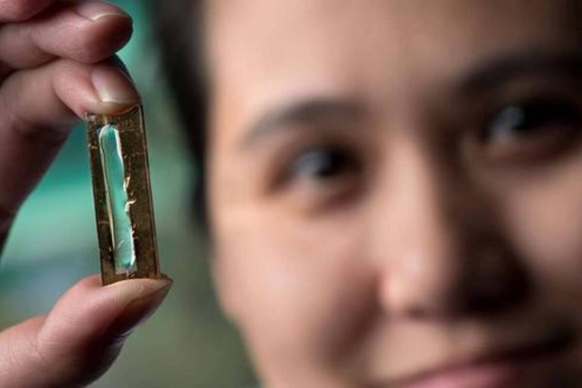 Inventan una batería que podría ser "eterna" (Foto: Universidad de California en Irvine)