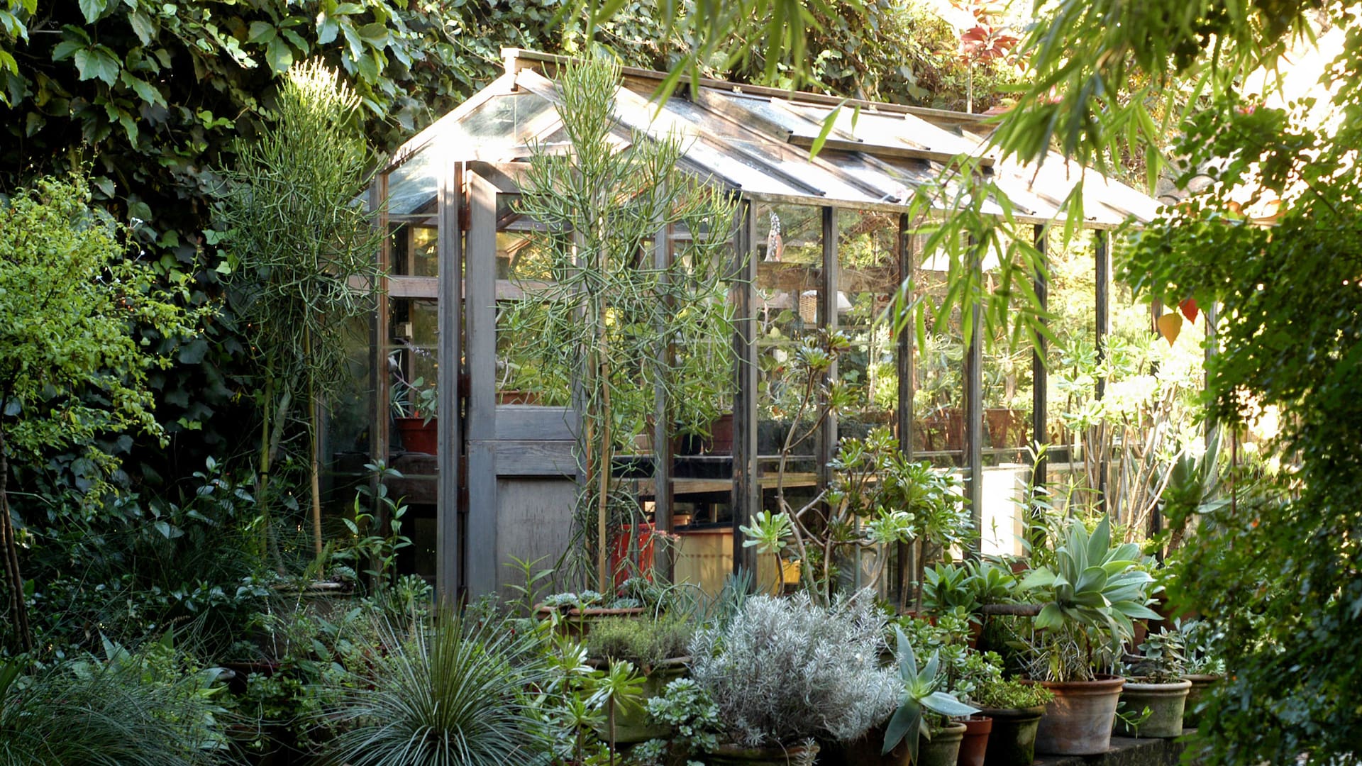 Los invernaderos son refugio para las plantas, sobre todo en invierno, y espacio de trabajo para los amantes de la jardinería durante todo el año