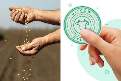 Invertir en el agro requería tierras, maquinaria y conocimientos técnicos, pero ahora, gracias a la tecnología blockchain, la tokenización y plataformas digitales, cualquiera puede participar