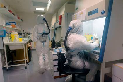 Investigación para la vacuna contra el Covid 19 en el instituto Pasteur en Lille, Francia