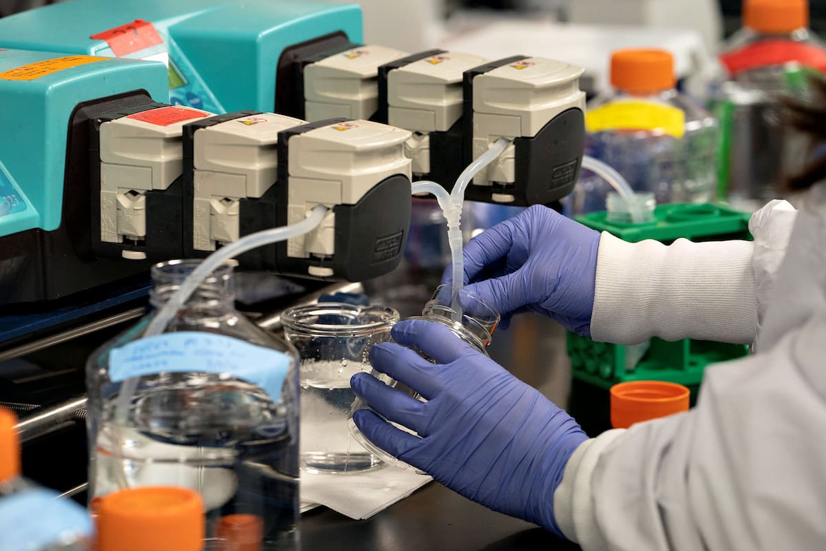 Investigaciones para la vacuna del virus COVID-19, en San Diego, California