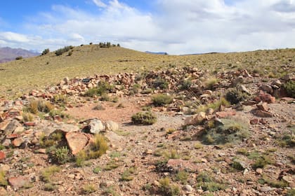 Investigadores argentinos y extranjeros llegarán al geoglifo para tomar muestras y estudiar un "centro ceremonial" de pueblos originarios