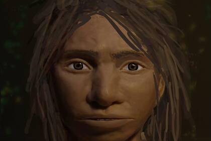 Investigadores de la Universidad Hebrea reconstruyeron el rostro de un denisovano basándose únicamente en el ADN; casi no se han encontrado fósiles de denisovanos