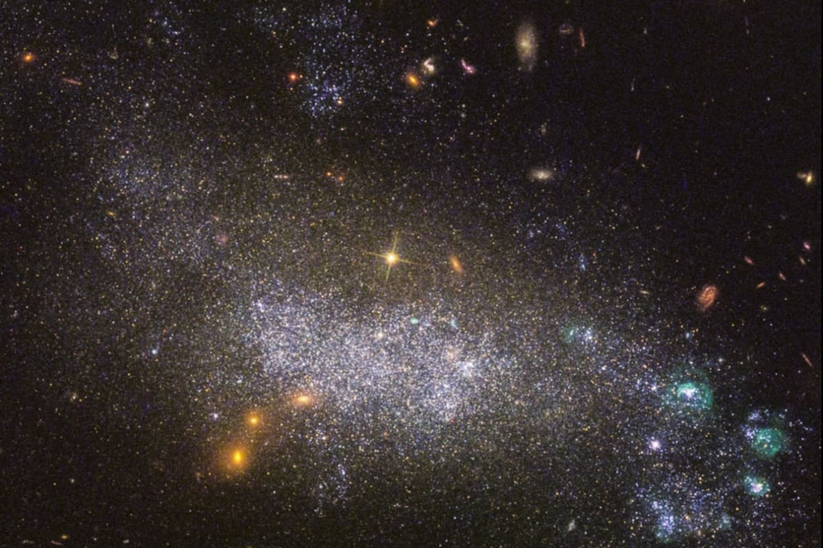 Investigadores del Conicet proponen que la vida extraterrestre podría existir en solventes distintos al agua