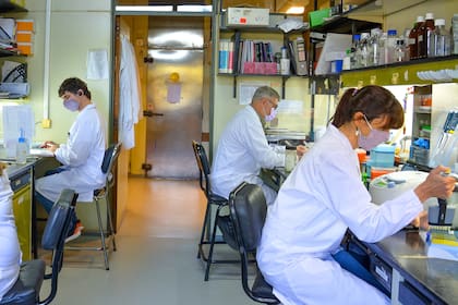 Investigadores del CONICET y del Laboratorio de Terapia Molecular y Celular en el Instituto Leloir