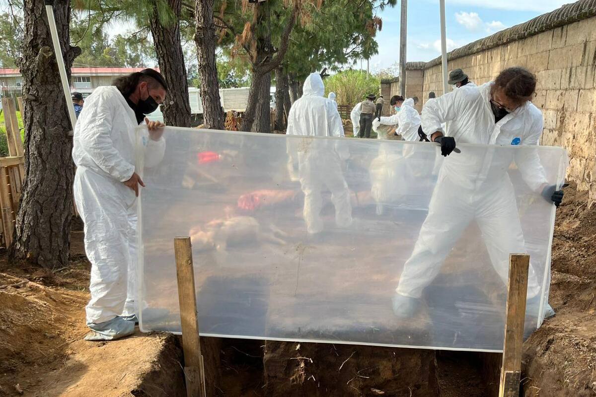 Investigadores preparan el lugar donde van a ser exhumados varios animales para su investigación.