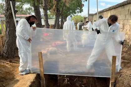 Investigadores preparan el lugar donde van a ser exhumados varios animales para su investigación.