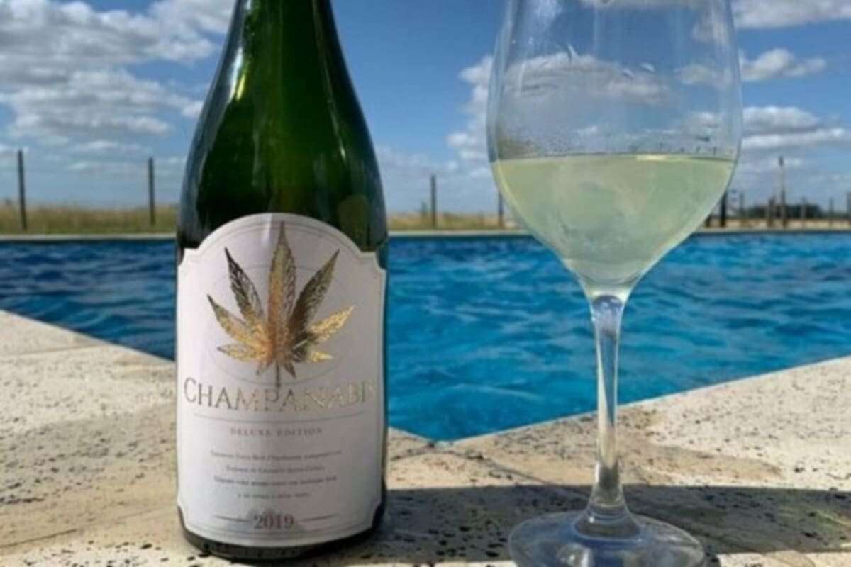 Investigan la venta y consumo de "Champannabis", una bebida espumante, a base de marihuana, que se elaboraría en Mendoza. Se ofrecía por internet y se comercializaba en Uruguay.
