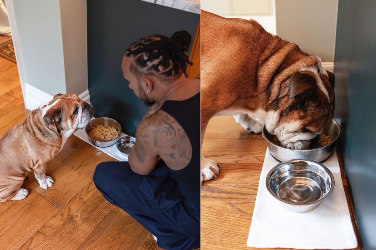 “Investigando, descubrí que una dieta de este tipo podría ser beneficiosa, siempre que se aseguren todas las necesidades nutricionales”, explicó Lewis Hamilton (Foto Instagram)