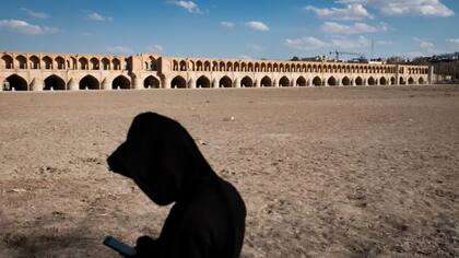 Irán enfrentaba una sequía severa incluso antes de la actual guerra con Estados Unidos e Israel