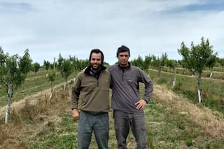 Los secretos de una producción que cambió el paisaje de una región