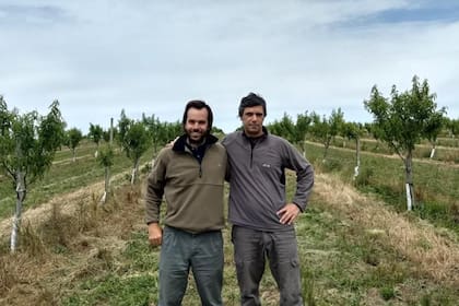 Irastorza junto a Federico Roncoroni, amigo y productor vecino, quien lo incentivó a que plante almendros en el campo