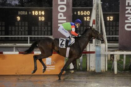 Irwin lleva tres triunfos en cinco presentaciones y esta Polla de Potrillos (G1) es su mejor conquista.